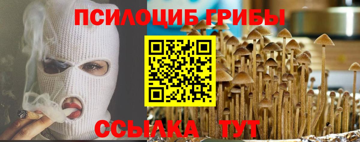 Псилоцибиновые грибы мухоморы  где можно купить   Черногорск  Вход с VPN 