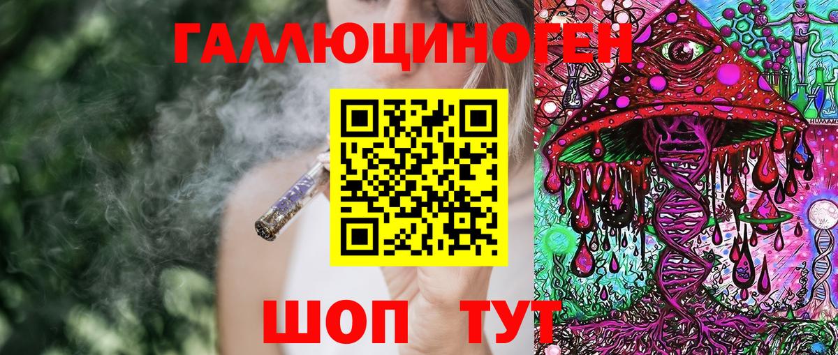 Галлюциногенные грибы Psilocybine cubensis Черногорск